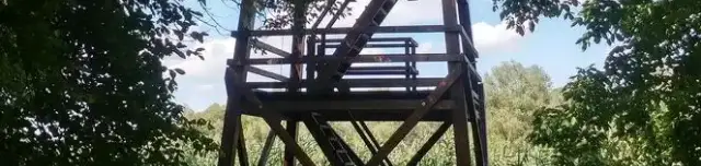 Sáros-alja madármegfigyelő torony