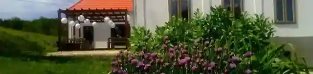 Fűszertár Füveskert és Teaház