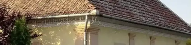 Evangélikus templom