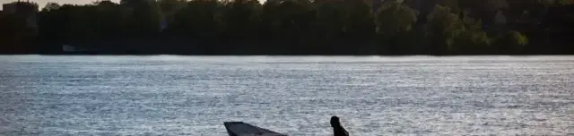 Paksi-Duna Atomerőmű alatti szakasz