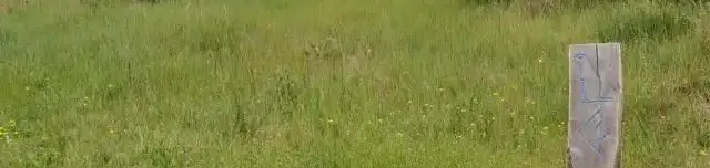 Ürge-mező tanösvény