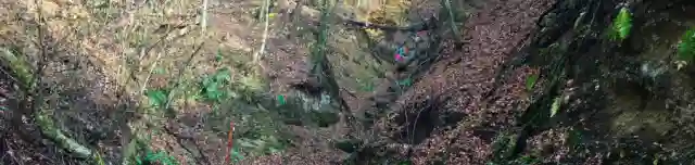 Páris-patak szurdokvölgye (Palóc Grand Canyon)