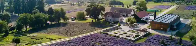 Apátsági Arborétum és Gyógynövénykert