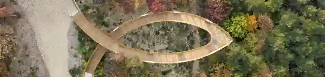 Lombkorona tanösvény