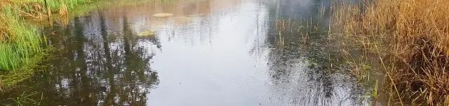 Tapolca forrás tanösvény