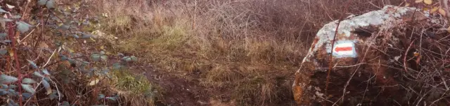 Pázmándi kvarcitsziklák