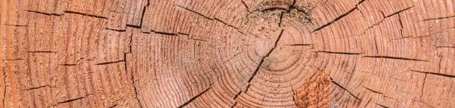 Kisréti tanösvény