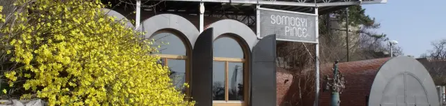 Somogyi Tibor Pincészete Látványpince