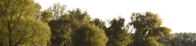 CARPediem Lake Horgásztó