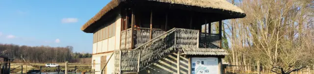 Petesmalmi Vidrapark