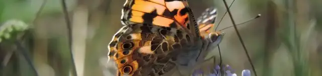 Kevélyhegyi Tanösvény