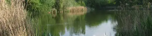 Pilisvörösvári bányatavak