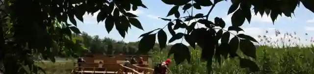 Forgó-tavi tanösvény