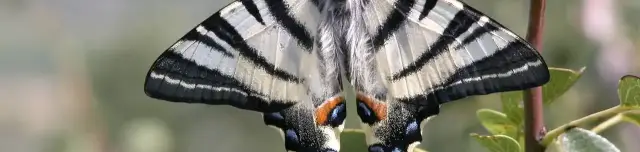 Farkasszigeti Arborétum