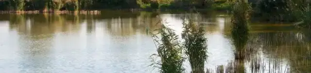 Püspökmolnári kavicsbányató