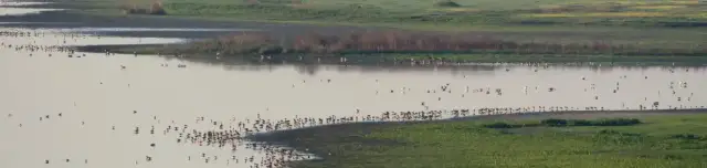 Pusztaszeri Tájvédelmi Körzet