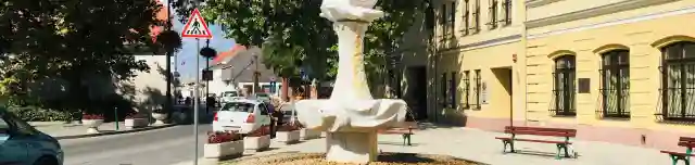 János Vitéz-díszkút