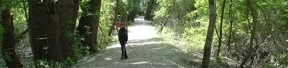 Tisza-parti Tanösvény