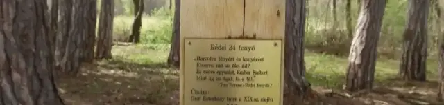24 fenyő tanösvény