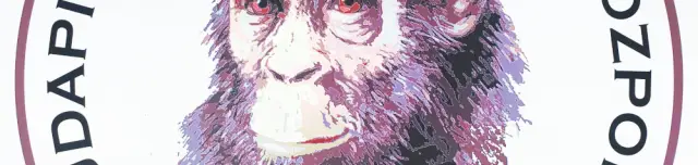 Rudapithecus Látogatóközpont