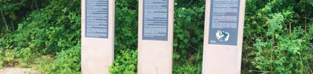 Rudapithecus tanösvény