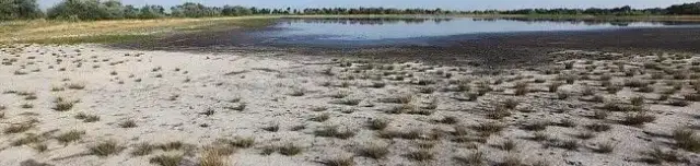 Sziki Őszirózsa tanösvény