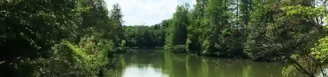 Sárvári csónakázótó