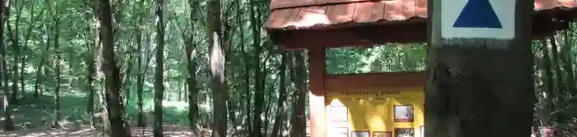 Magas-hegyi tanösvény