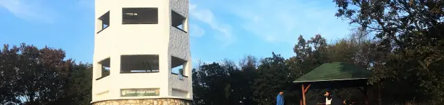 Somló-hegyi kilátó