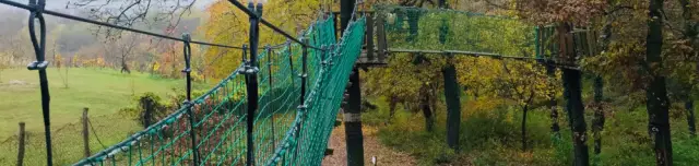 Súri Lombkorona-sétány