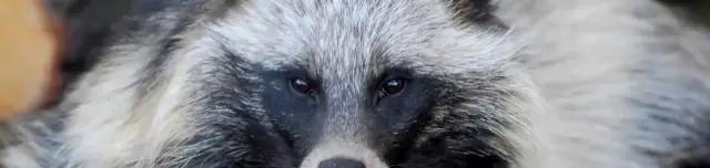 Körösvölgyi Látogatóközpont és Állatpark