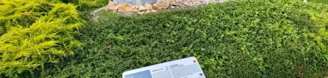 Mini Magyarország makettpark