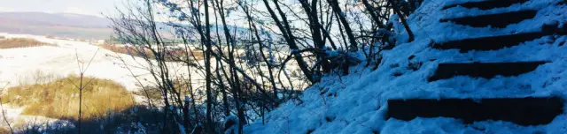 Tiszafás tanösvény