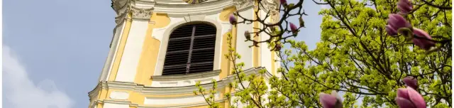 Nagyboldogasszony Plébánia