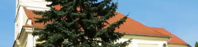 Római katolikus templom