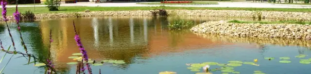 Gál Szőlőbirtok és Pincészet