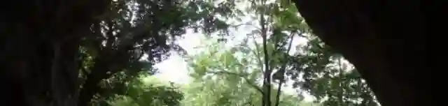 Istállós-kői barlang