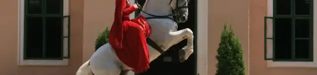 Lipicai ménistálló és lótörténeti kiállítás