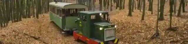 Bezina-völgyi Erdei Vasút