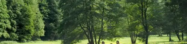 Tőzegmohás láprét tanösvény