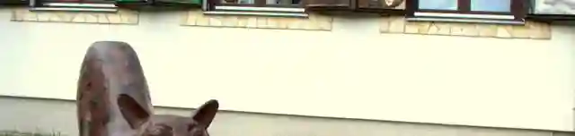 Hiúz Ház Erdei Iskola és Látogatóközpont