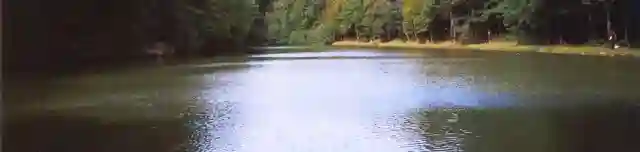 Királyréti horgásztó