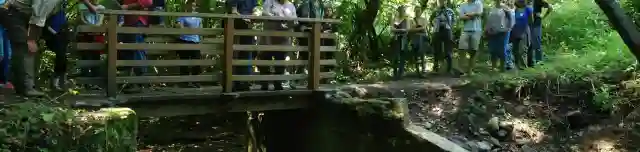 Királyréti tanösvény