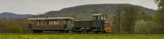 Királyréti Erdei Vasút