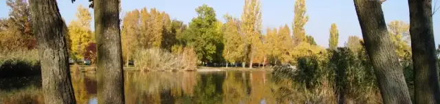 Tiszaligeti Csónakázó-tó