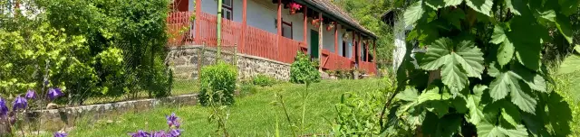 Szőlősor Vendégház Terény