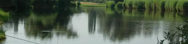 Tárnoki horgásztó