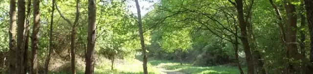 Szőlő-hegy tanösvény