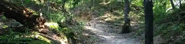 Hegyalja-Malomkő Tanösvény