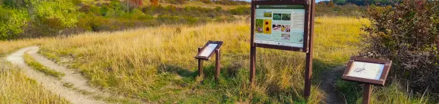 Tétényi-fennsík tanösvény